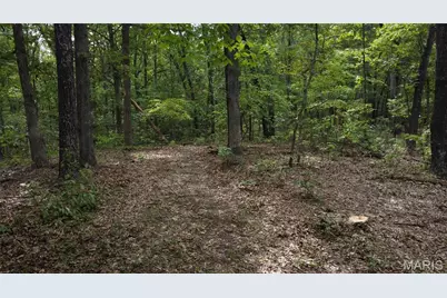 10223 San Juan Trail, Sullivan, MO 63080 - Photo 34