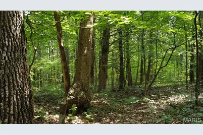 10223 San Juan Trail, Sullivan, MO 63080 - Photo 6