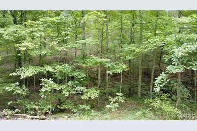 10223 San Juan Trail, Sullivan, MO 63080 - Photo 38