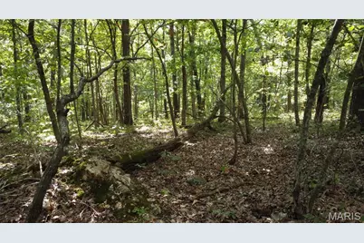 10223 San Juan Trail, Sullivan, MO 63080 - Photo 28