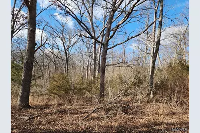 Lot 46 Block G Red Bud Drive, Catawissa, MO 63015 - Photo 4