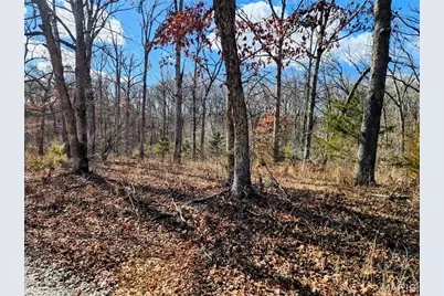 Lot 48 Block G Red Bud Drive, Catawissa, MO 63015 - Photo 4