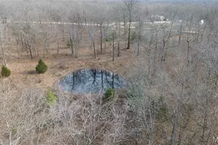 1620 County Rd 5170, Salem, MO 65560 - Photo 58