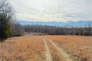 1620 County Rd 5170, Salem, MO 65560 - Photo 62