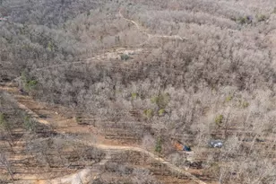 301 State Ridge, Annapolis, MO 63620 - Photo 28