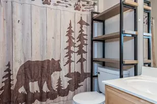 909 Winston Ct, Hillsboro, MO 63050 - Photo 32