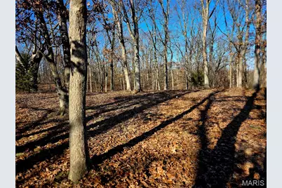 28937 Highway Z, Stanton, MO 63435 - Photo 22