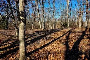 28937 Hwy Z, Stanton, MO 63435 - Photo 22