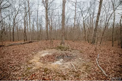 000 Forest Service Road 2284, Bourbon, MO 65441 - Photo 18