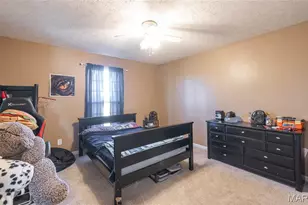 18430 Charity Dr, Dixon, MO 65459 - Photo 26