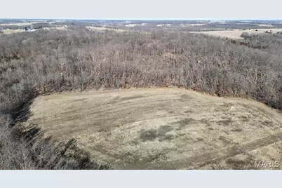 53+/- Acres Louisville Road, Bowling Green, MO 63334 - Photo 6
