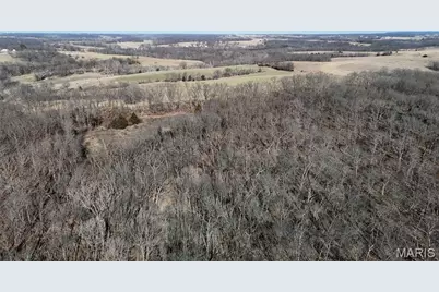 53+/- Acres Louisville Road, Bowling Green, MO 63334 - Photo 18