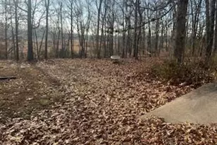 1698 Private Rd 2970, Mountain View, MO 65548 - Photo 24