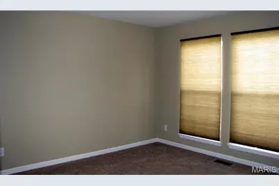 110 Fallon Villa Court, O'Fallon, MO 63368 - Photo 10