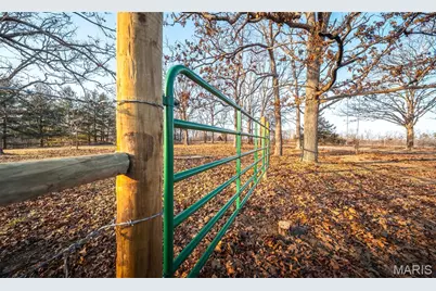 19618 Bean Creek Drive, Licking, MO 65542 - Photo 20