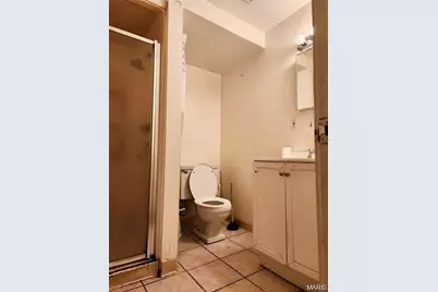 3846 Virginia Avenue, Saint Louis, MO 63118 - Photo 4