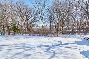 17 Christine Dr, Saint Peters, MO 63376 - Photo 60