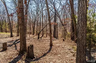 3491 Massey Ford Rd, Union, MO 63084 - Photo 6