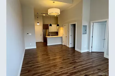 415 Debaliviere Avenue #207, Saint Louis, MO 63112 - Photo 24