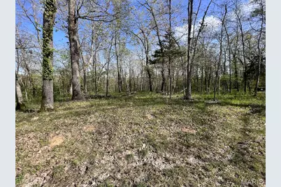 148 Jabin Farm Road, Wright City, MO 63390 - Photo 2