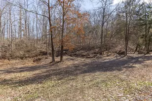 3414 Shamrock Rd, Festus, MO 63028 - Photo 6