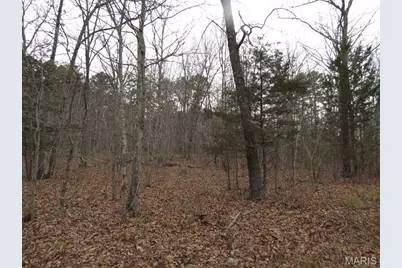 55 Cr 55, Bellerive, MO 63623 - Photo 8