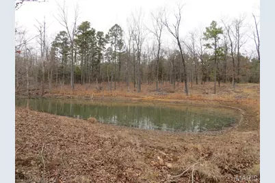 55 Cr 55, Bellerive, MO 63623 - Photo 4