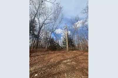 O Holtwick Trail, Robertsville, MO 63072 - Photo 6