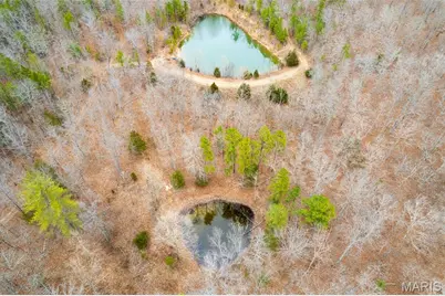 7030 Wayne 341, Piedmont, MO 63957 - Photo 12