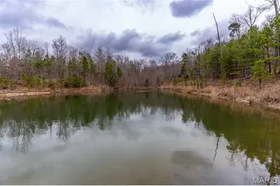 7030 Wayne 341, Piedmont, MO 63957 - Photo 56