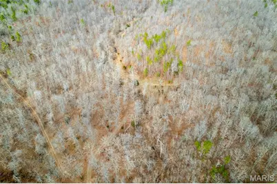 7030 Wayne 341, Piedmont, MO 63957 - Photo 2