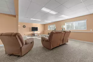 519 Villa Piazza Ct, O'Fallon, MO 63366 - Photo 30