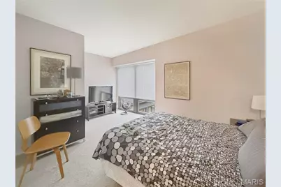1523 S 10th Street #215, Saint Louis, MO 63104 - Photo 10