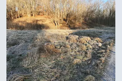 Off Pcr 535 County Road 535, Jackson, MO 63755 - Photo 16