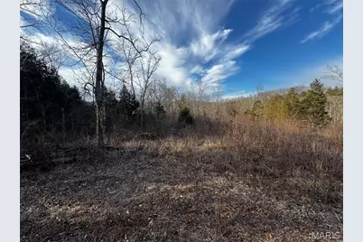 19824 Hwy 49, Black Jack, MO 63625 - Photo 10