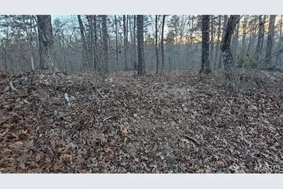 00 County Road 714, Washington, MO 63638 - Photo 2