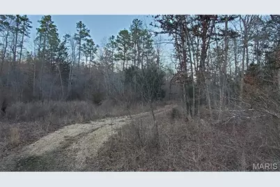 00 County Road 714, Washington, MO 63638 - Photo 6