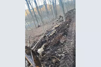 0 Gravois Road, House Springs, MO 63051 - Photo 12