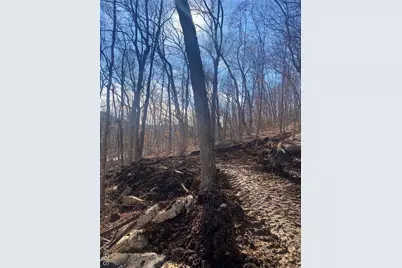 0 Gravois Road, House Springs, MO 63051 - Photo 2