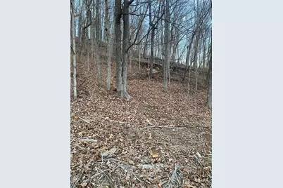 0 Gravois Road, House Springs, MO 63051 - Photo 20