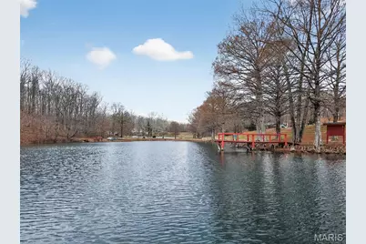 301 Little Dogwood Lake Road, Burfordville, MO 63739 - Photo 22