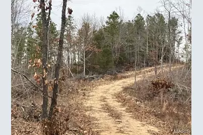 186 Madison Cr 410, Fredericktown, MO 63645 - Photo 2