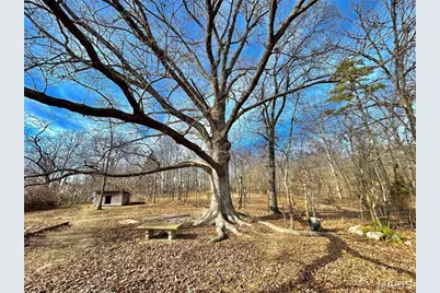 15303 E Highway 32, Boss, MO 65440 - Photo 36