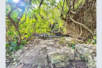 15303 E Highway 32, Boss, MO 65440 - Photo 34