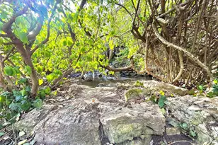 15303 E Hwy 32, Boss, MO 65440 - Photo 34