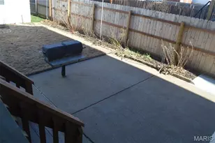 3949 Flad Ave, Saint Louis, MO 63110 - Photo 30