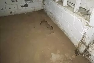 435 Adrian Dr, Saint Louis, MO 63137 - Photo 52