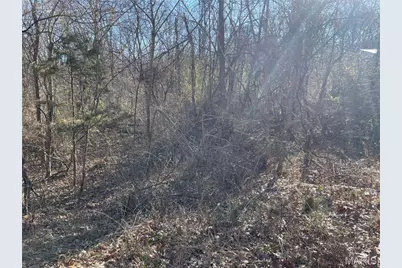 3838 Oak Hill Drive, Catawissa, MO 63015 - Photo 4