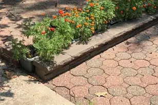 1315 Ridge Rd, Wildwood, MO 63021 - Photo 74