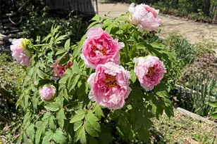 1315 Ridge Rd, Wildwood, MO 63021 - Photo 64